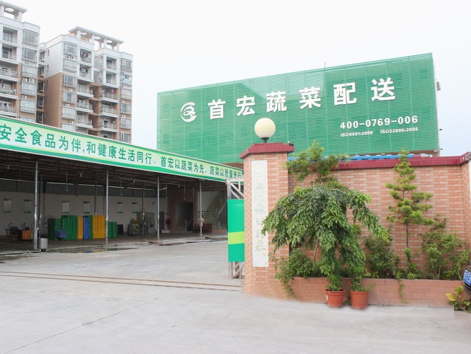 专业服务